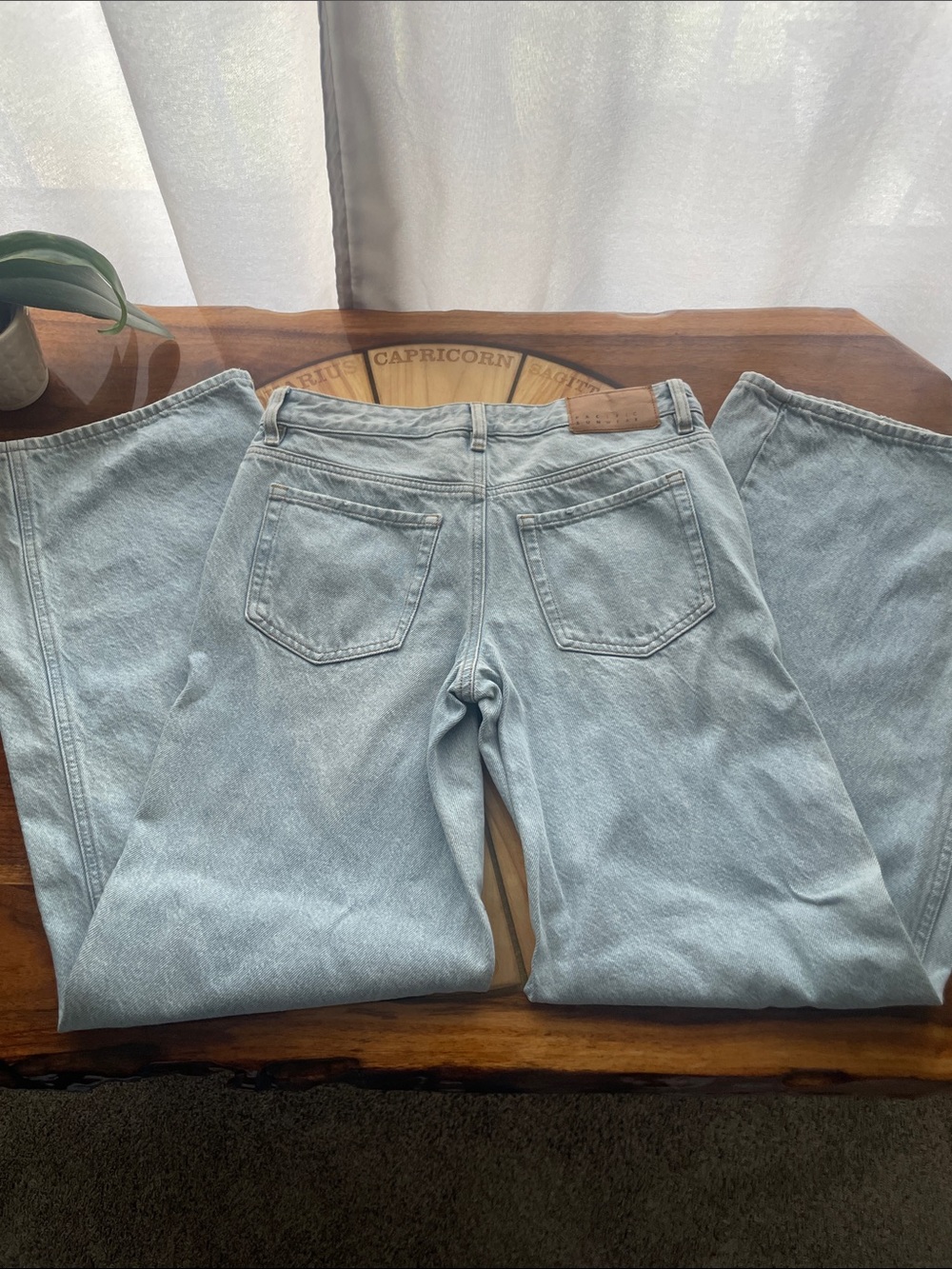 Pacsun Casey Low Rise Baggy Light Wash Wide Leg Jean